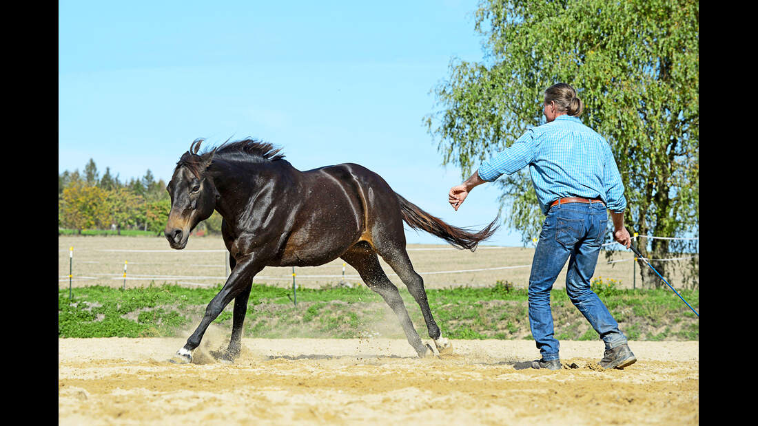 cav-201812-western-liberty-3-bewegungskontrolle-lir5958 (jpg)