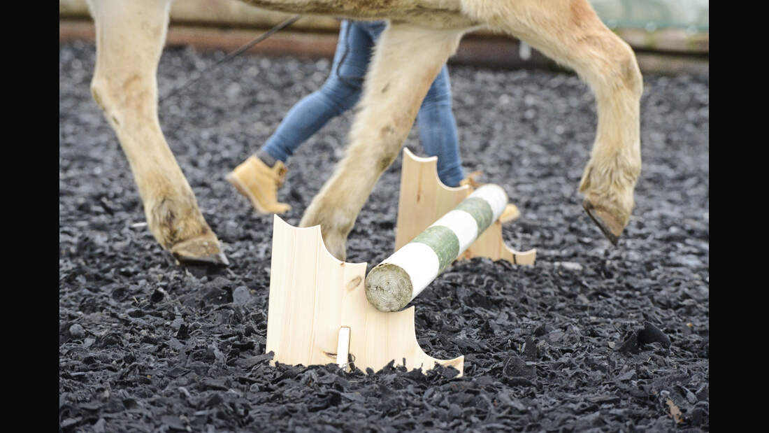 cav-201902-cavaletti-staender-lir7336-mit-TEASER-v-amendo (jpg)