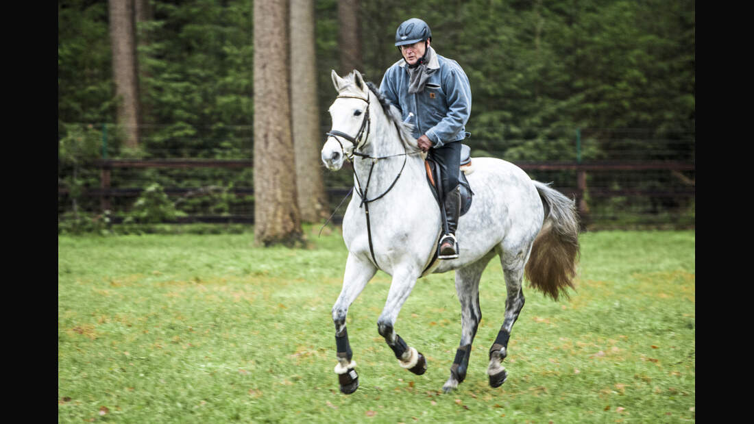 cav-201903-pferdezucht-stefan-aust-armstorf-6913-joern-lehmann-v-amendo (jpg)