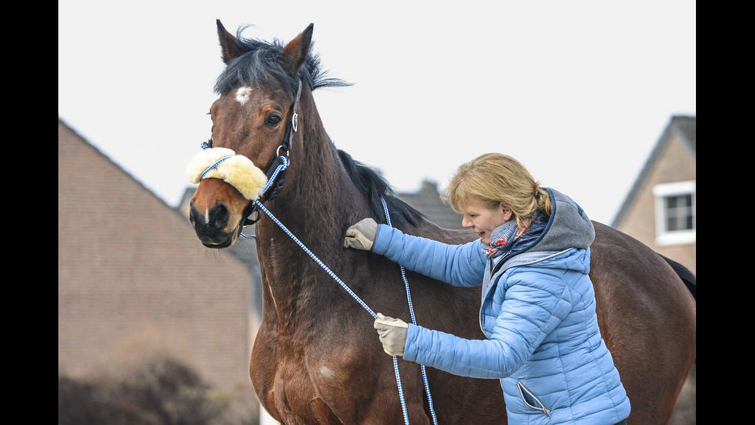 CAVALLO-Coach: Hilfe bei klappernden Zähnen | cavallo.de