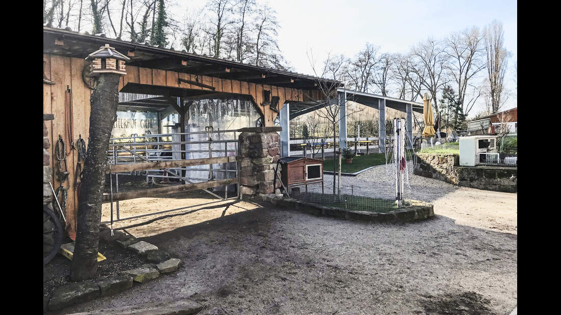 cav-201904-reitschultest-reiterhof-giehl-offenstall-reithalle-img3077-mit-TEASER-v-amendo (jpg)