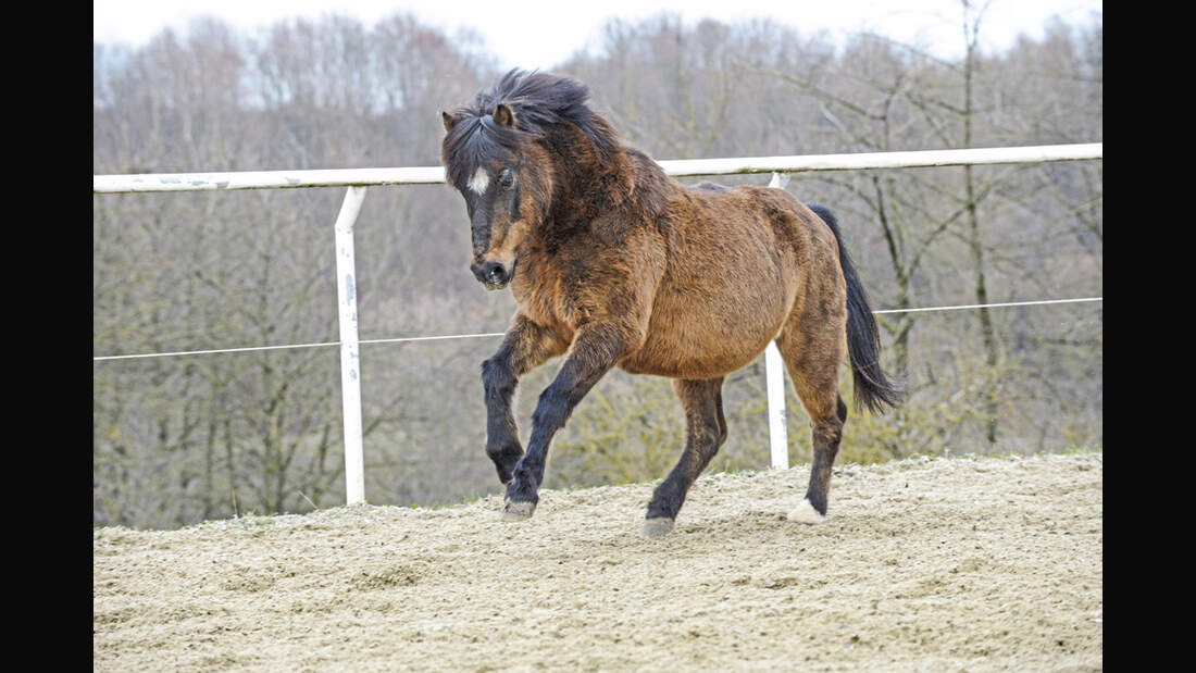 cav-charakterraten-022017-lir5288-v-amendo (jpg)