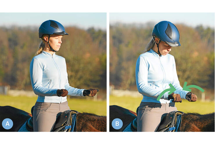 Sitzblockaden: Problemzone Oberkörper | cavallo.de