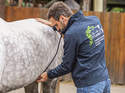 cav-kolik-diagnose-img-1222-fellner-v-amendo (jpg)