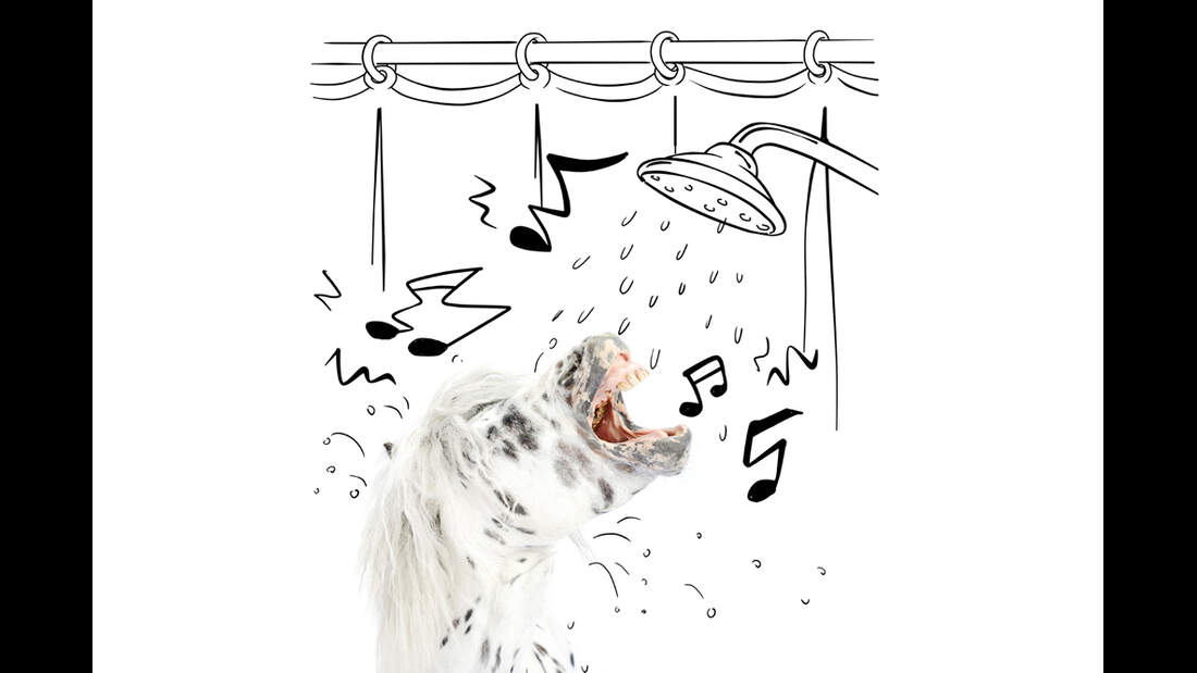 cav-lancelot-small-love_lir3860-singt-unter-der-dusche (jpg)