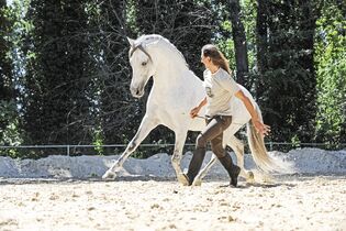 Liebevolle Beziehung Zum Pferd So Machen S Pferde Experten Cavallo De