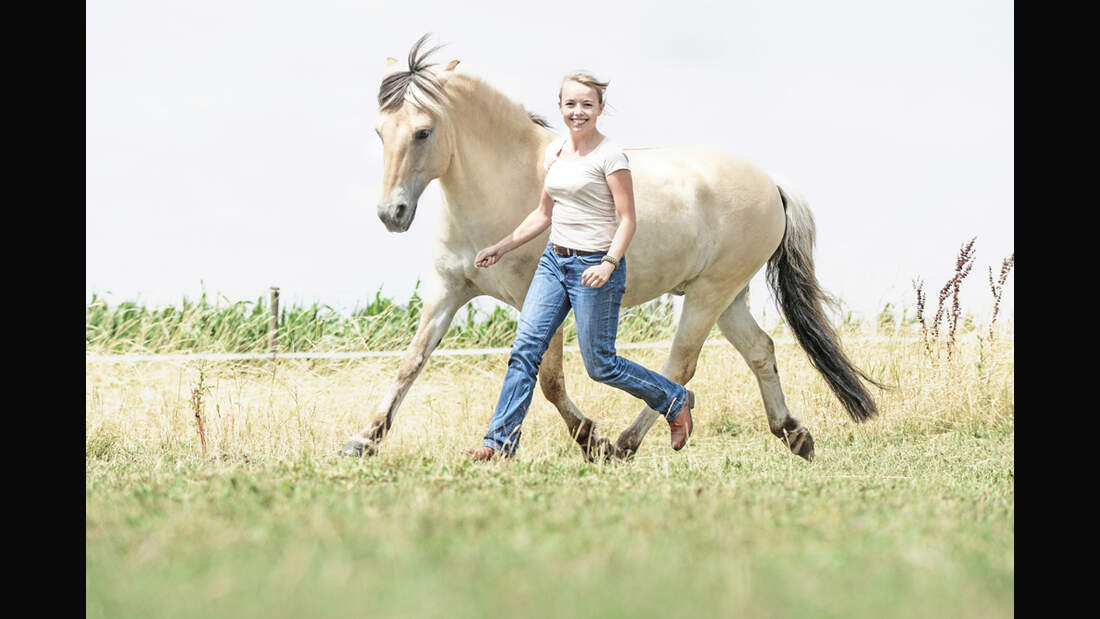 cav-liebesbeweise-022017-lir1689-v-amendo (jpg)