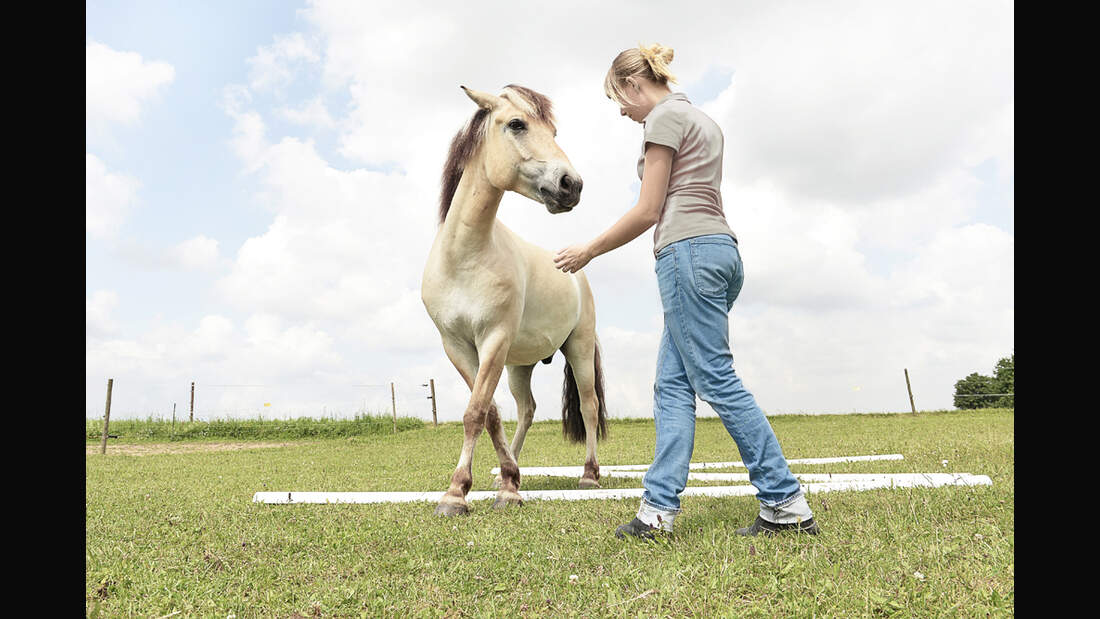 cav-liebesbeweise-022017-sensibilitaet-lir6671 (jpg)