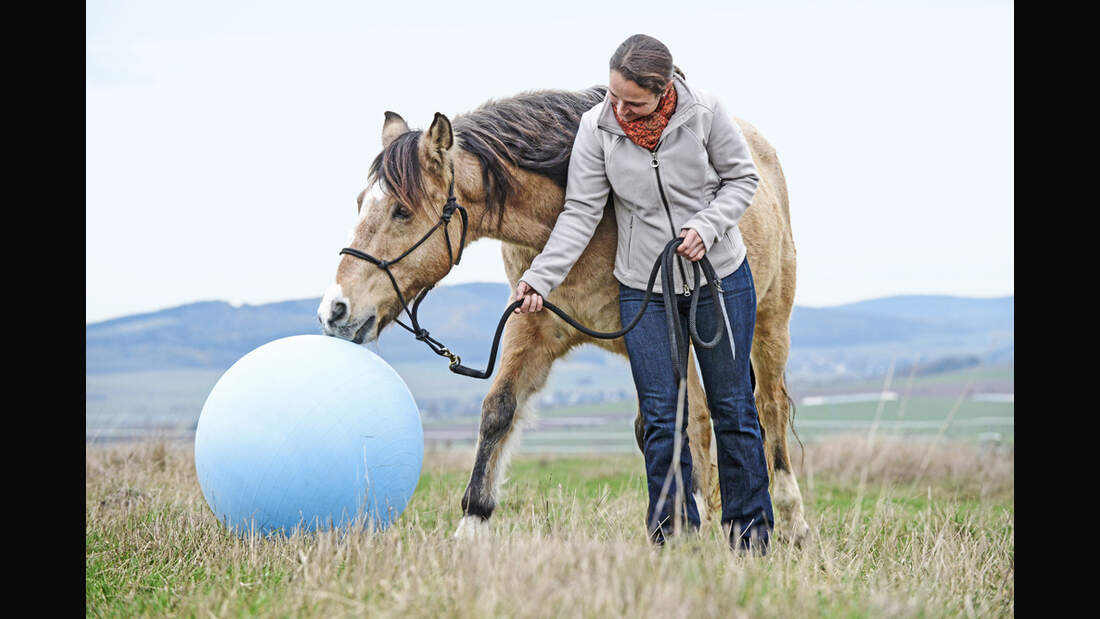 cav-uebungen-fuer-mehr-mut-und-neugier-012017-lir0001-v-amendo (jpg)