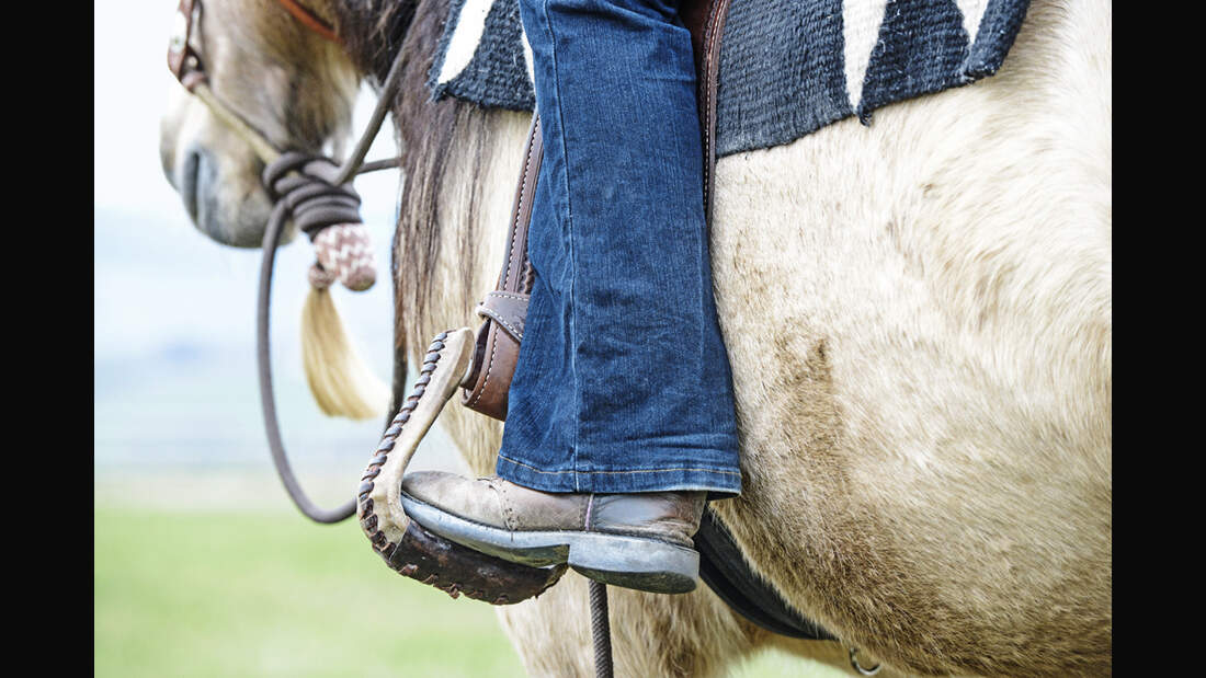 cav-uebungen-fuer-mehr-mut-und-neugier-012017-lir0600-v-amendo (jpg)