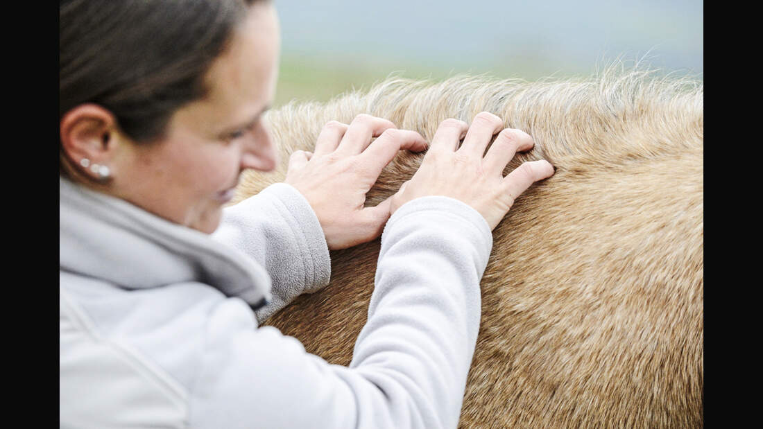 cav-uebungen-fuer-mehr-mut-und-neugier-012017-lir9840-v-amendo (jpg)