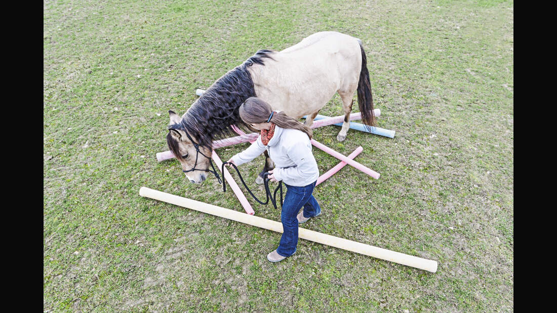 cav-uebungen-fuer-mehr-mut-und-neugier-012017-und-teaser-lir0939-v-amendo (jpg)