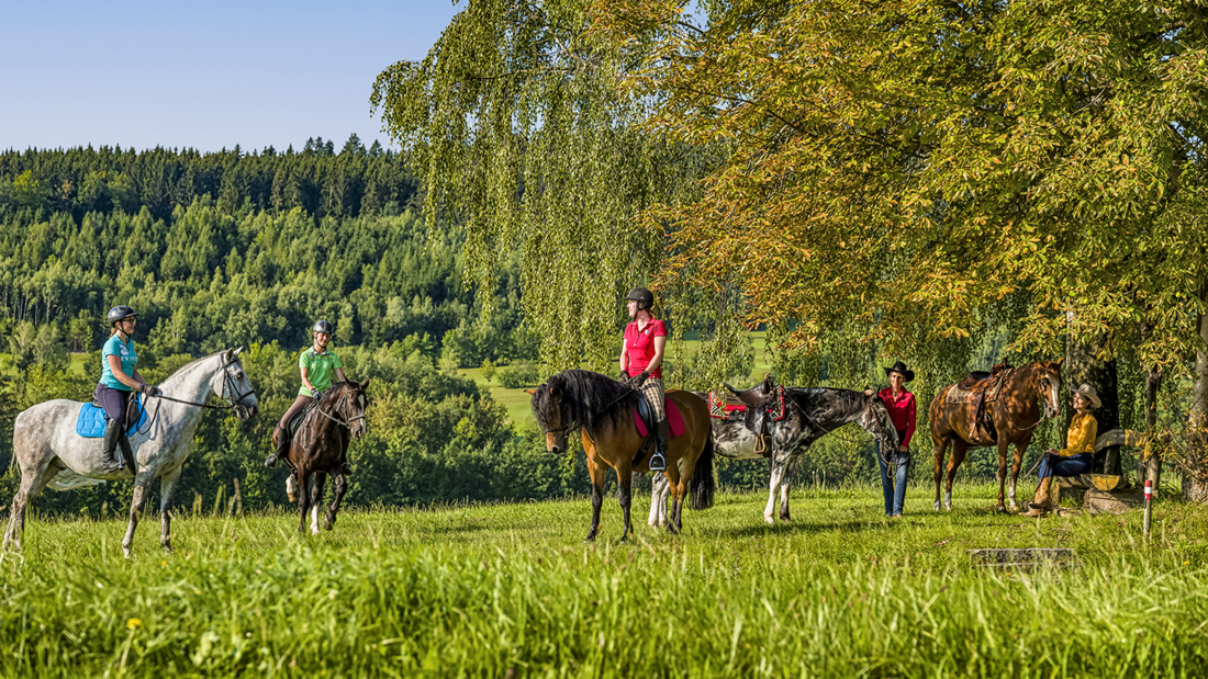 Reiterferien im Aldiana Club Ampflwang