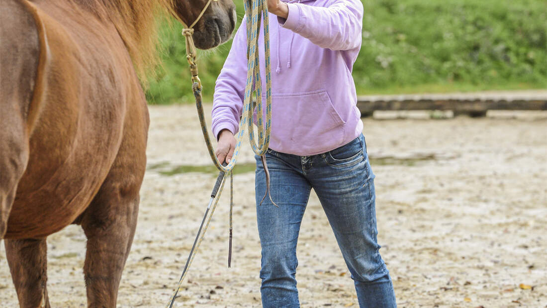 Per Körpersprache mit dem Pferd kommunizieren - cavallo.de