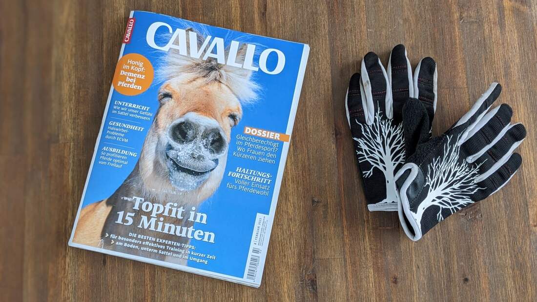 Die Themen im Februar! 