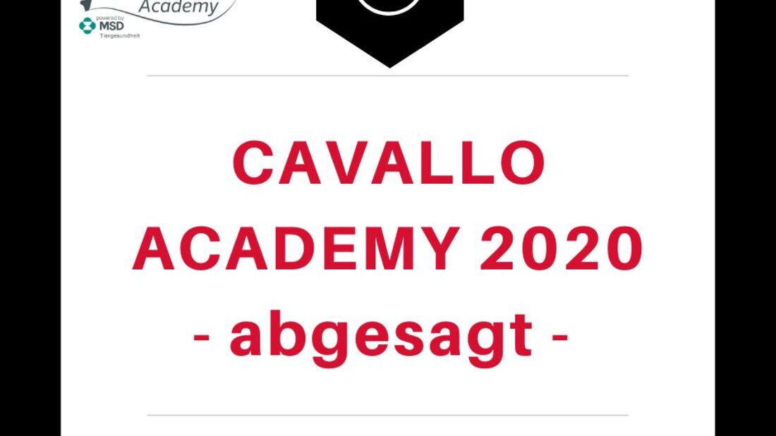 Die CAVALLO Academy fällt 2020 aus