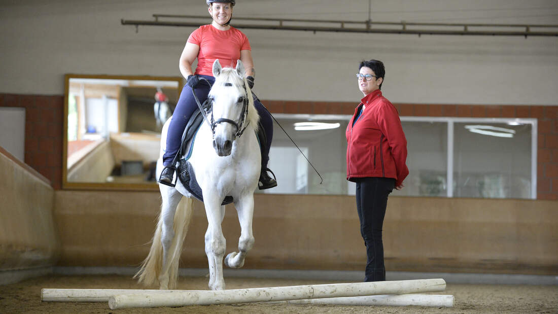 Reiten lernen – Grundlagen für Einsteiger | cavallo.de