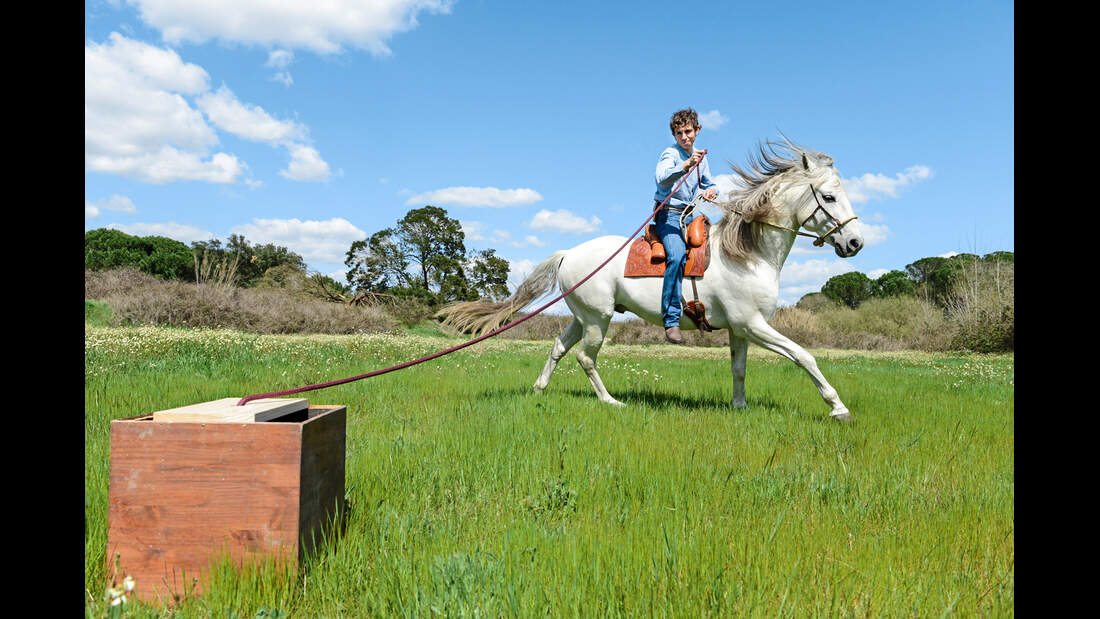 Spiele Mit Dem Pferd Spiele Mit Dem Pferd
