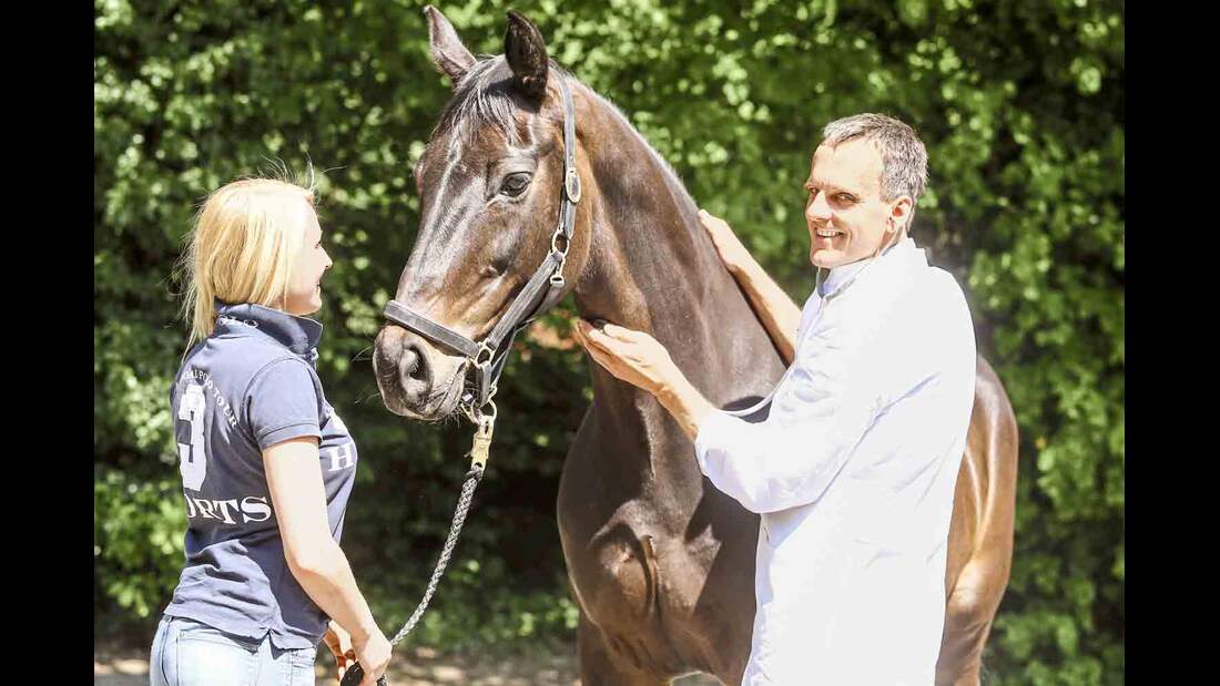 Er sucht sie cavallo