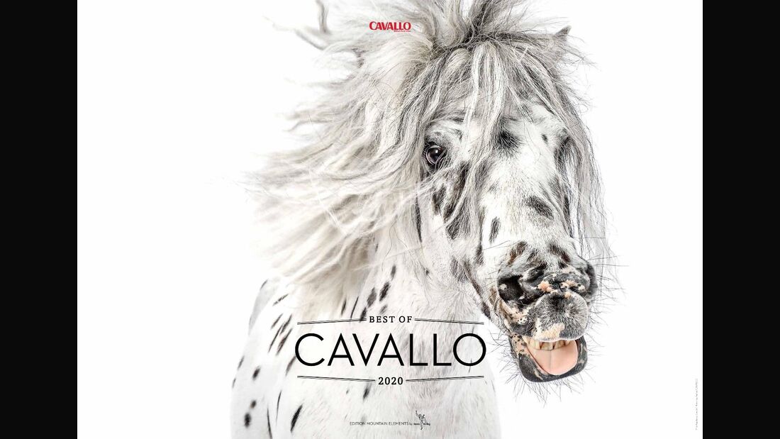 Best of CAVALLO 2020 - jetzt bestellen!