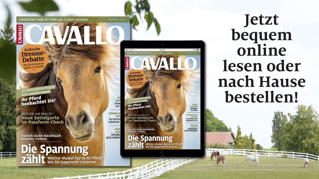 CAVALLO digital inklusive Wunsch-Gutschein