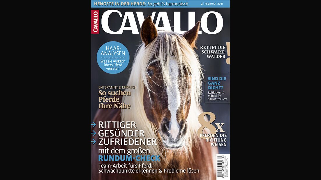 Die CAVALLO-Themen im Februar-Heft