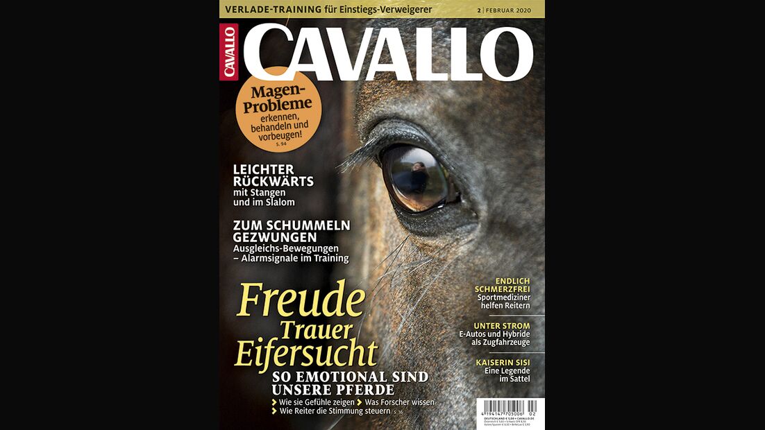 Die CAVALLO-Themen im Februar 2020