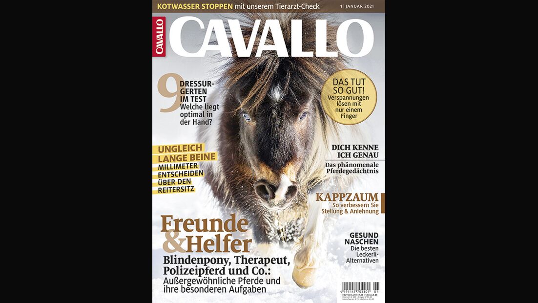 Die CAVALLO-Themen im Januar-Heft