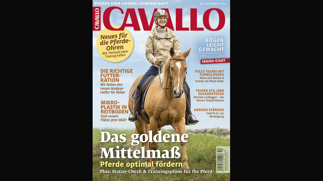 Die CAVALLO-Themen im Dezember 2019