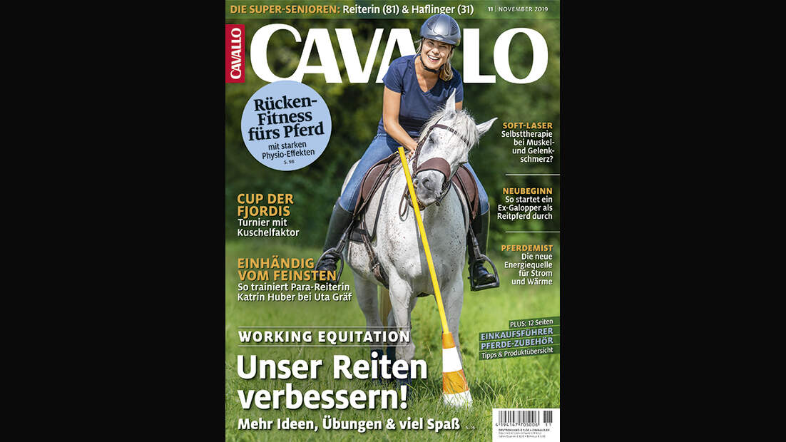 Die CAVALLO-Themen im November 2019
