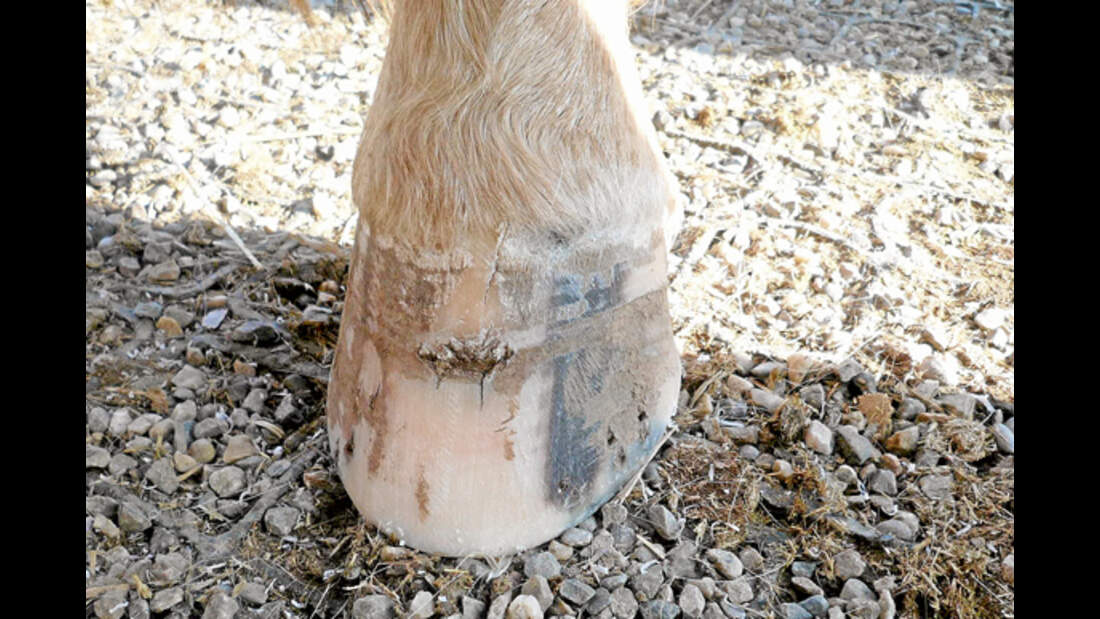 Hufspalten erkennen und behandeln | cavallo.de