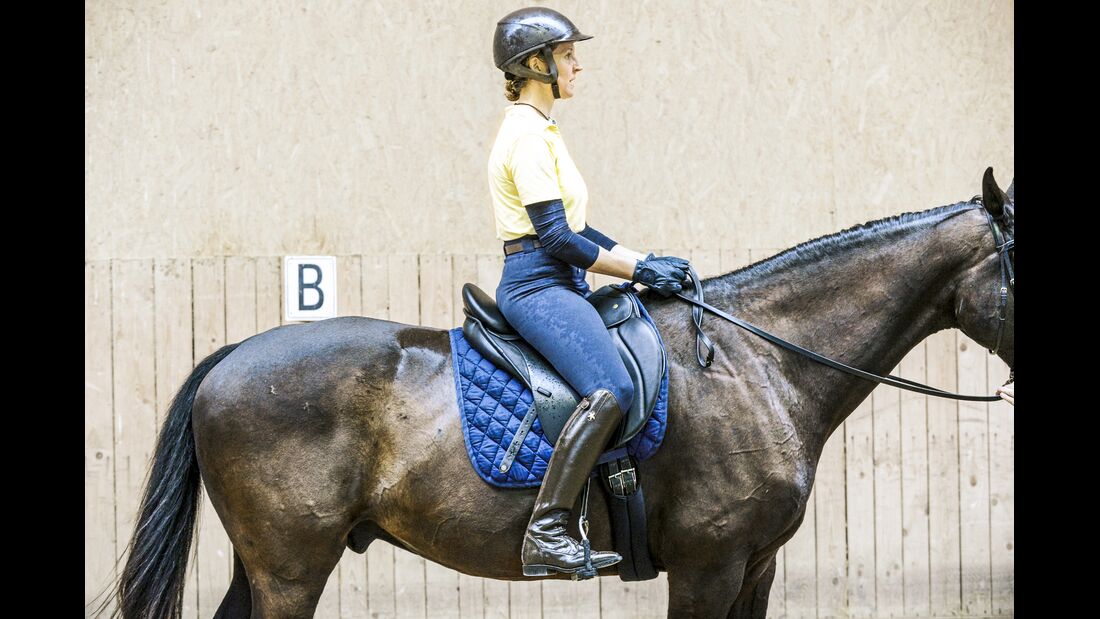 Als Reiter im Trab locker aussitzen so geht's cavallo.de