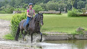 CAVALLO Vielseitig, Geländetraining, Frau mit Pferd im Gelände-Parcours, Pferd schreitet durch Wasser