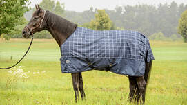 cav-201810-outdoordecken-test-lir4937-mit-TEASER-v-amendo (jpg)