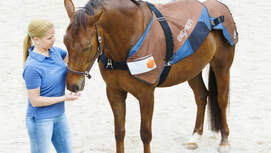 UB Bemer Therapie Decke Aufmacher