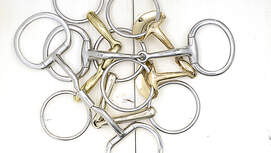 CAV Gebiss Test Modelle Aufmacher