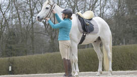 cav-0518-zufrieden-am-zuegel-lir8448-mit-teaser (jpg)