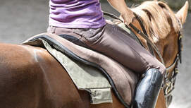 CAV Reitkissen Reitpads 1