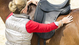 CAV Sattel-Check Teaser