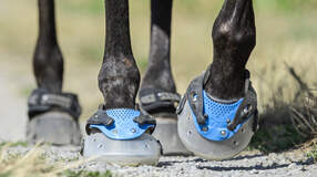 Test Hufschuhe