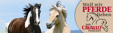 Cavallo Podcast
