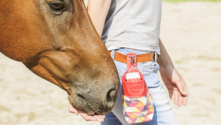 CAV Bastelecke Leckerlibeutel Aufmacher