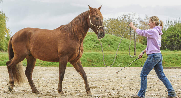 Besteigen vom pferd sich frau lässt