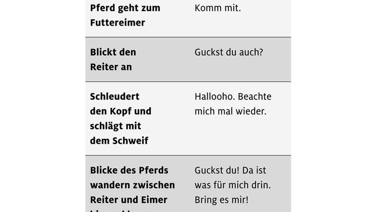 Wie Bringe Ich Mich Um