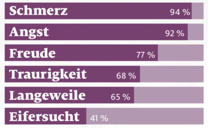 Welche Emotionen Zeigen Pferde Cavallo De