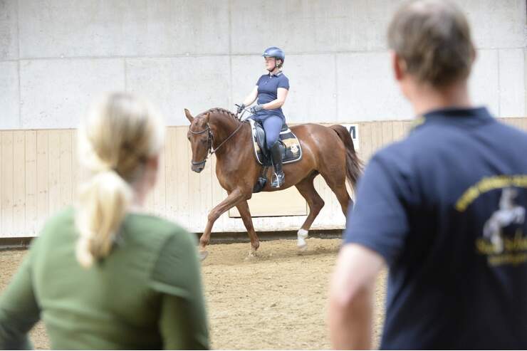 Wie sichere ich mich beim Pferdekauf ab? | cavallo.de
